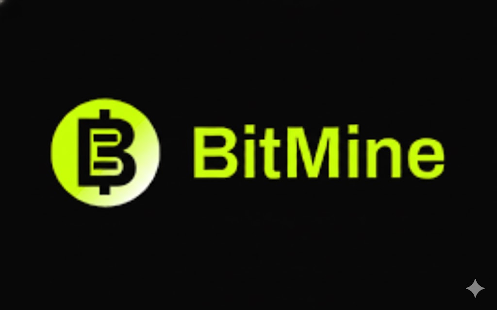 Morgan Stanley, Top Bitmine Shareholders Increased BMNR Holdings in Q4