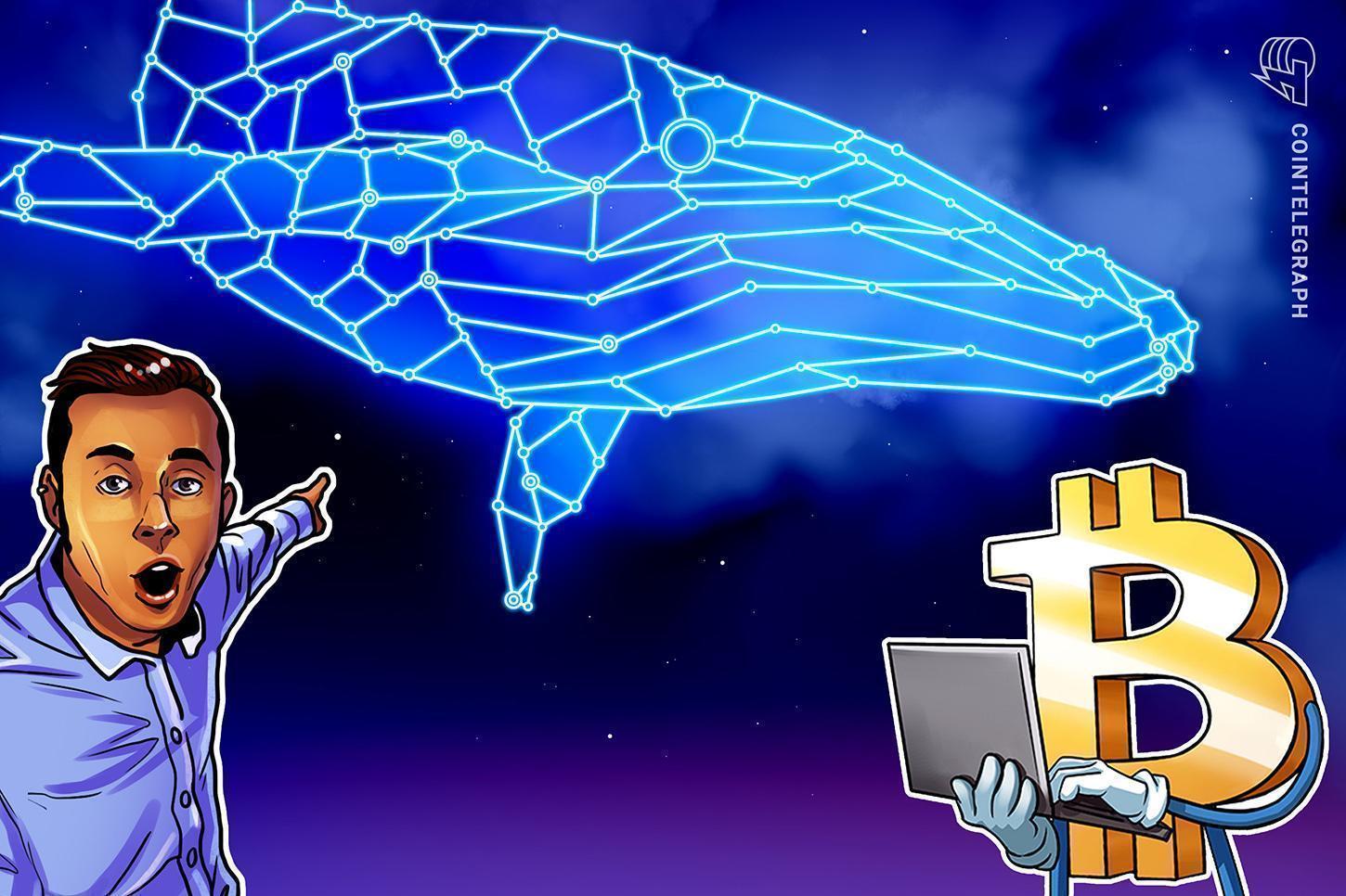 Bitcoin OGs, Ancient Whales Sell Millions in BTC as Iran War Escalates